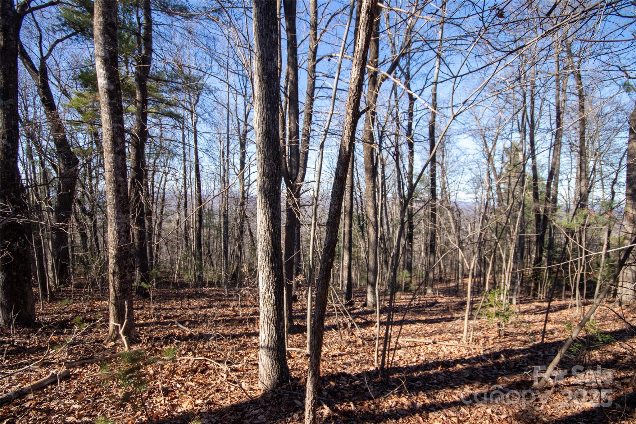 2206 Nighthawk Ridge Court, Unit 27 Lenoir, NC 28645 - Photo 5 of 7 a view of a backyard with large trees