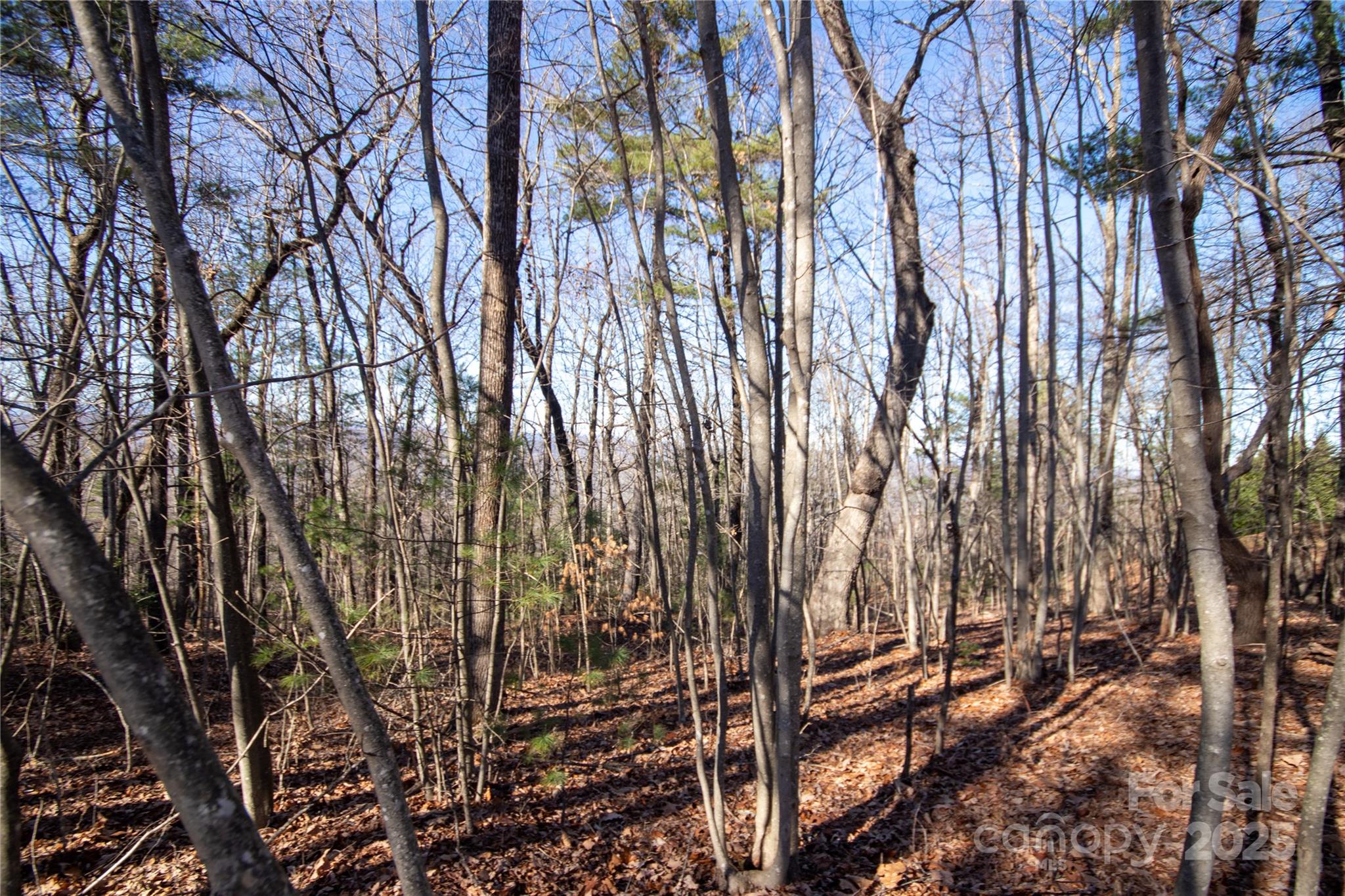 2206 Nighthawk Ridge Court, Unit 27 Lenoir, NC 28645 - Photo 6 of 7 a view of outdoor space with sitting space