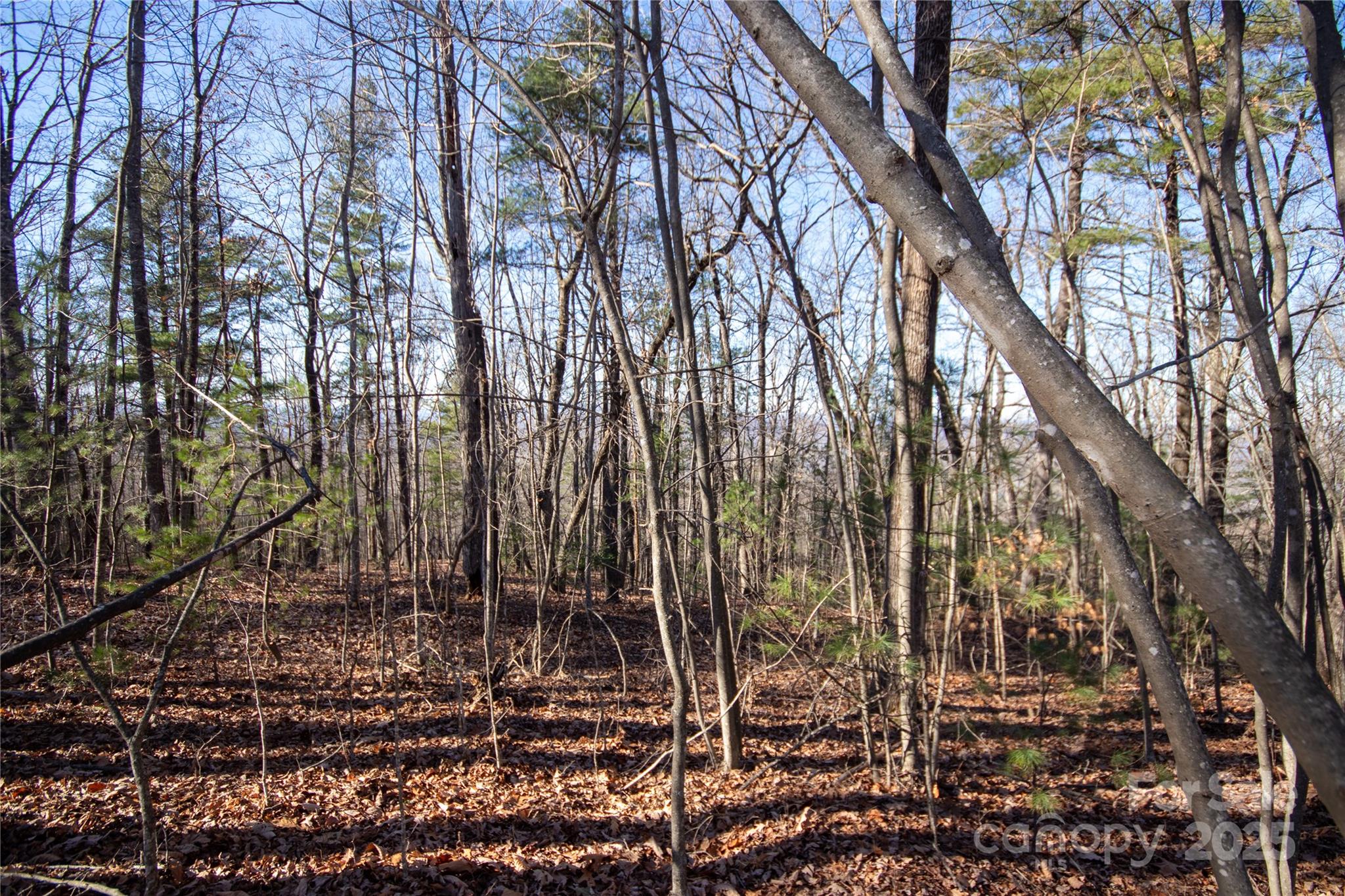 2206 Nighthawk Ridge Court, Unit 27 Lenoir, NC 28645 - Photo 7 of 7 a backyard of a house with lots of green space