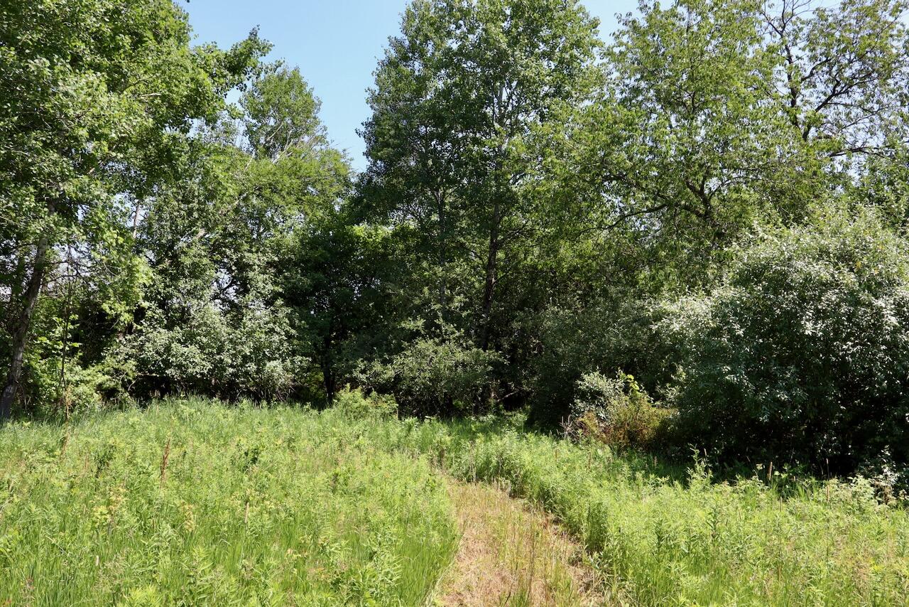 4718 Church Road Six Lakes, MI 48886 - Photo 18 of 76 018