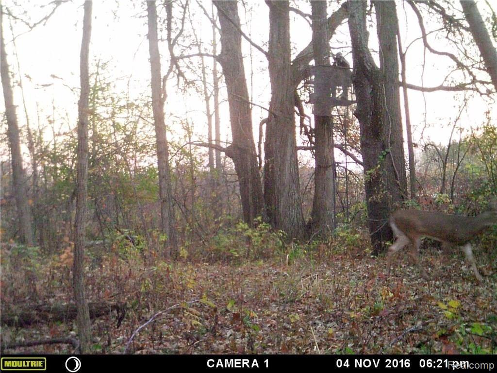 Na Moscow Road Jonesville, MI 49250 - Photo 24 of 36