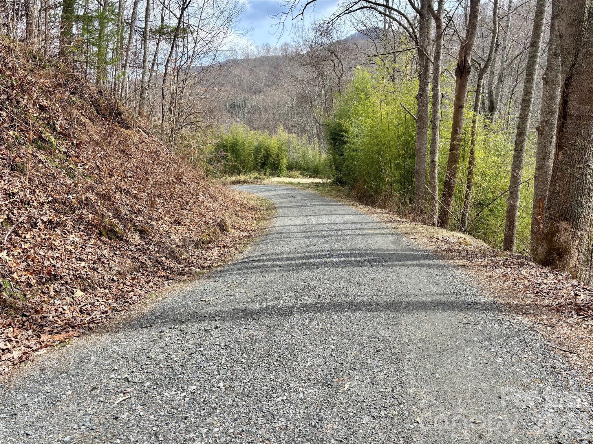 Ne Lot) Meadow Fork Road Hot Springs, NC 28743 - Photo 15 of 17 a view of path and trees