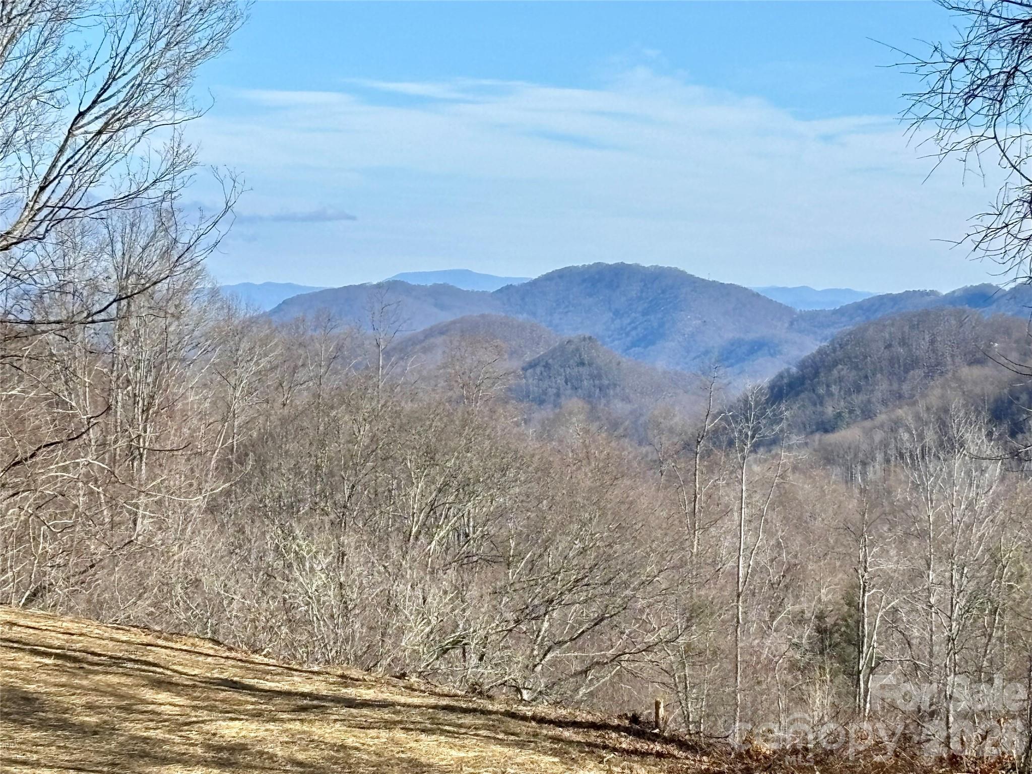 Ne Lot) Meadow Fork Road Hot Springs, NC 28743 - Photo 2 of 17 a view of a house with a mountain