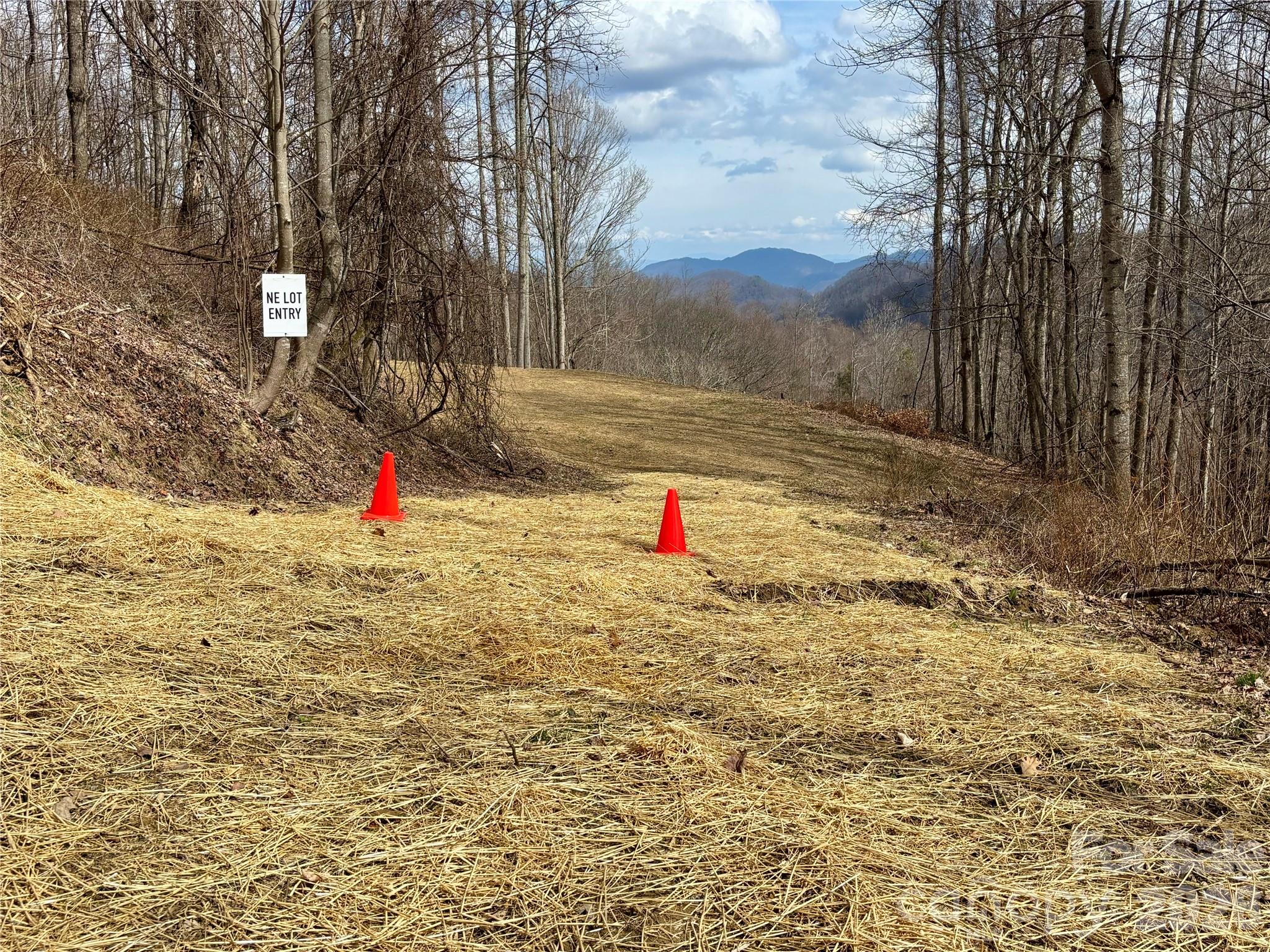 Ne Lot) Meadow Fork Road Hot Springs, NC 28743 - Photo 4 of 17 a view of outdoor space