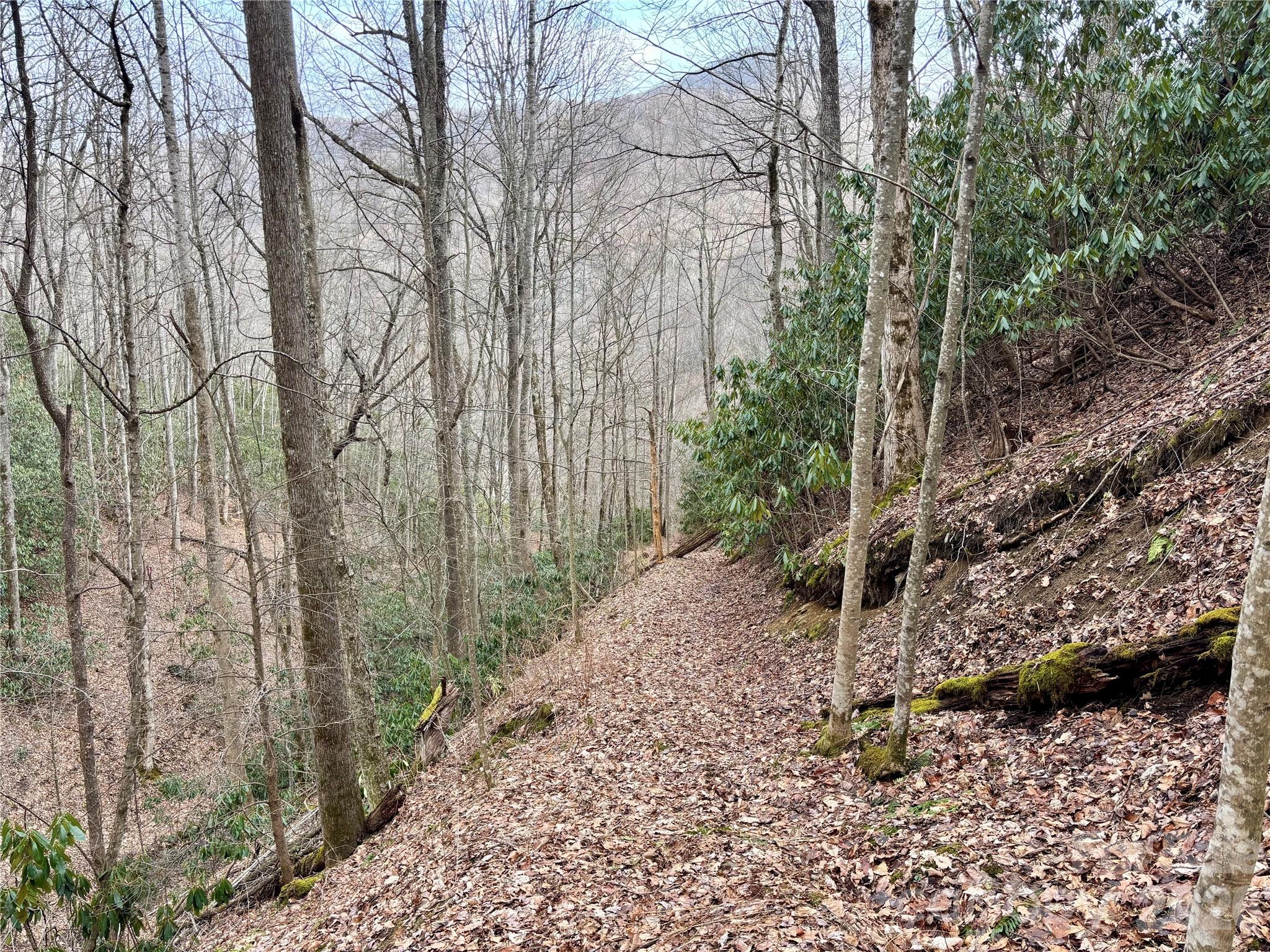 Ne Lot) Meadow Fork Road Hot Springs, NC 28743 - Photo 6 of 17 a pathway of a yard