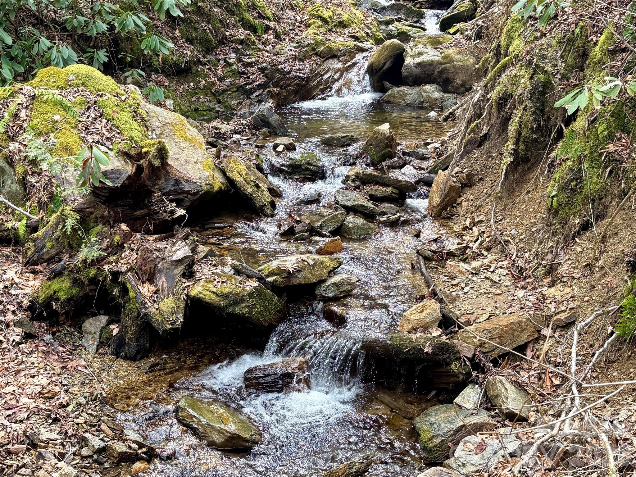 Ne Lot) Meadow Fork Road Hot Springs, NC 28743 - Photo 7 of 17 a view of city
