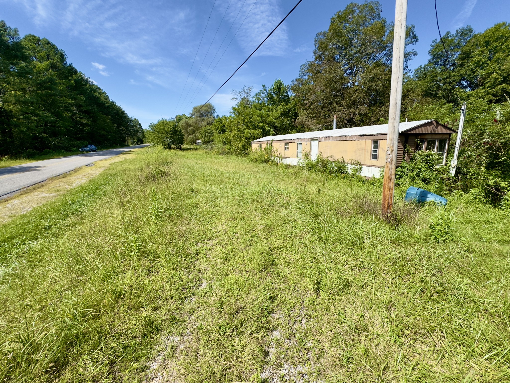 8849 Eastland Road Sparta, TN 38583 - Photo 3 of 5 a view of a field with plants and a trees