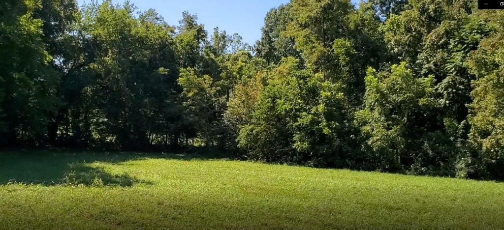 0 Central Point Road Rutledge, TN 37861 - Photo 13 of 20 Gallery Image 13