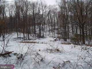 0 Spring Valley Road Reading, PA 19605 - Photo 1 of 1 Gallery Image 1