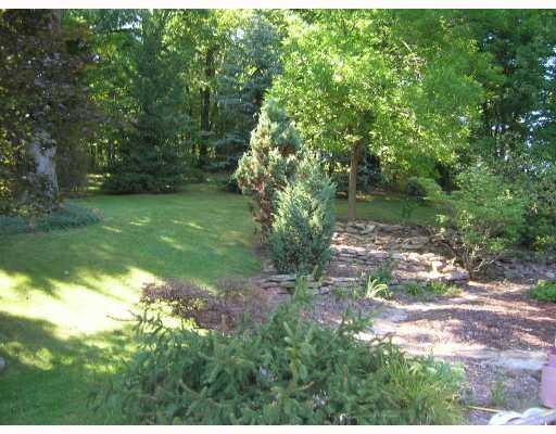 316 Parkhill Road Baden, PA 15005 - Photo 8 of 8 Yard/Garden. Back yard / garden