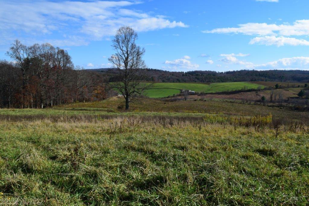Tbd Spring Dale Road Southwest Floyd, VA 24091 - Photo 13 of 44 Gallery Image 13
