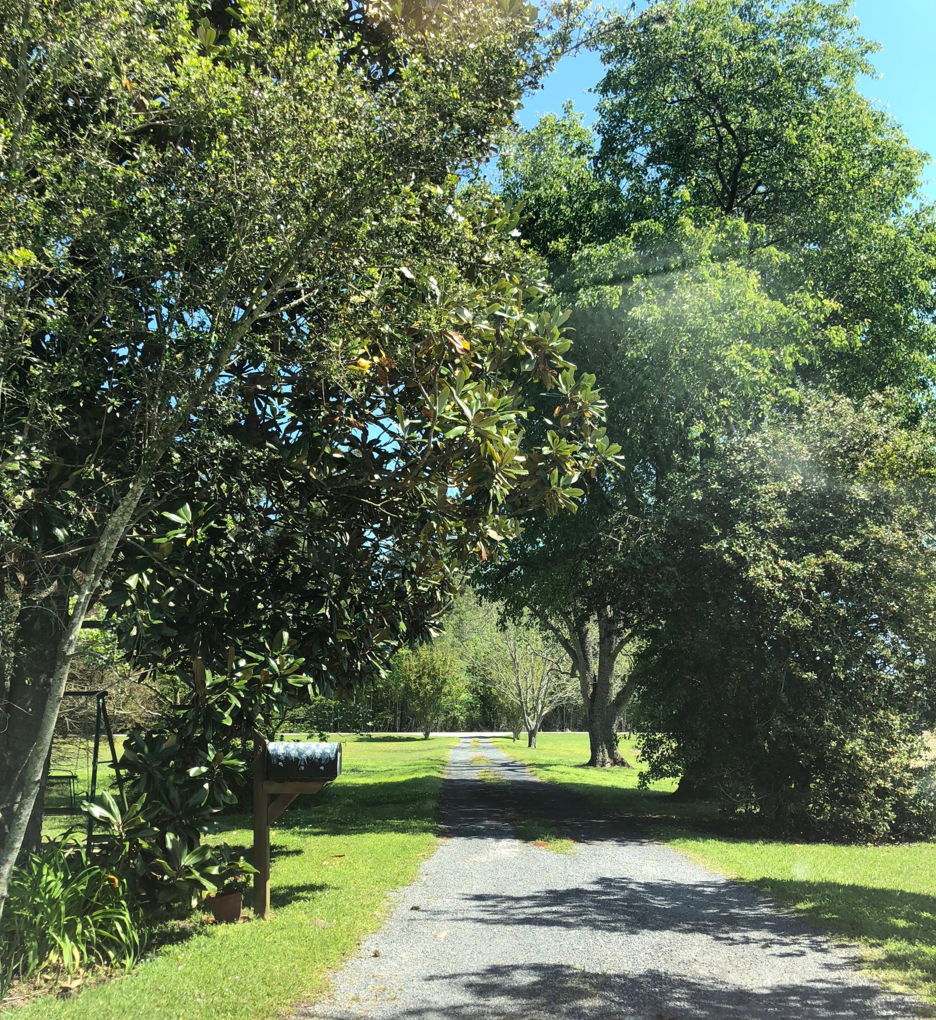 5748 Old State Road Holly Hill, SC 29059 - Photo 1 of 15 IMG_5561