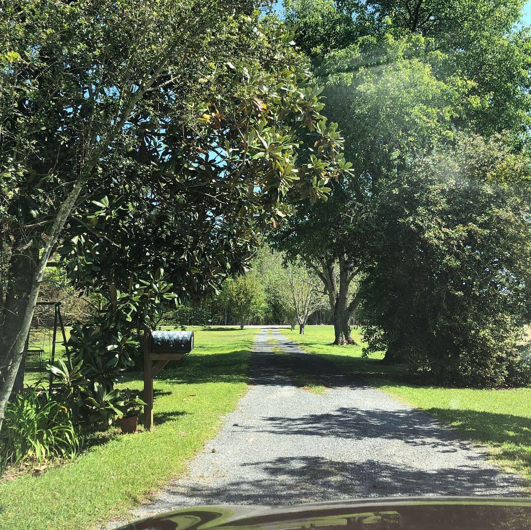 5748 Old State Road Holly Hill, SC 29059 - Photo 11 of 15 E4895BE0-34E4-4911-80A7-EE12B1B17069