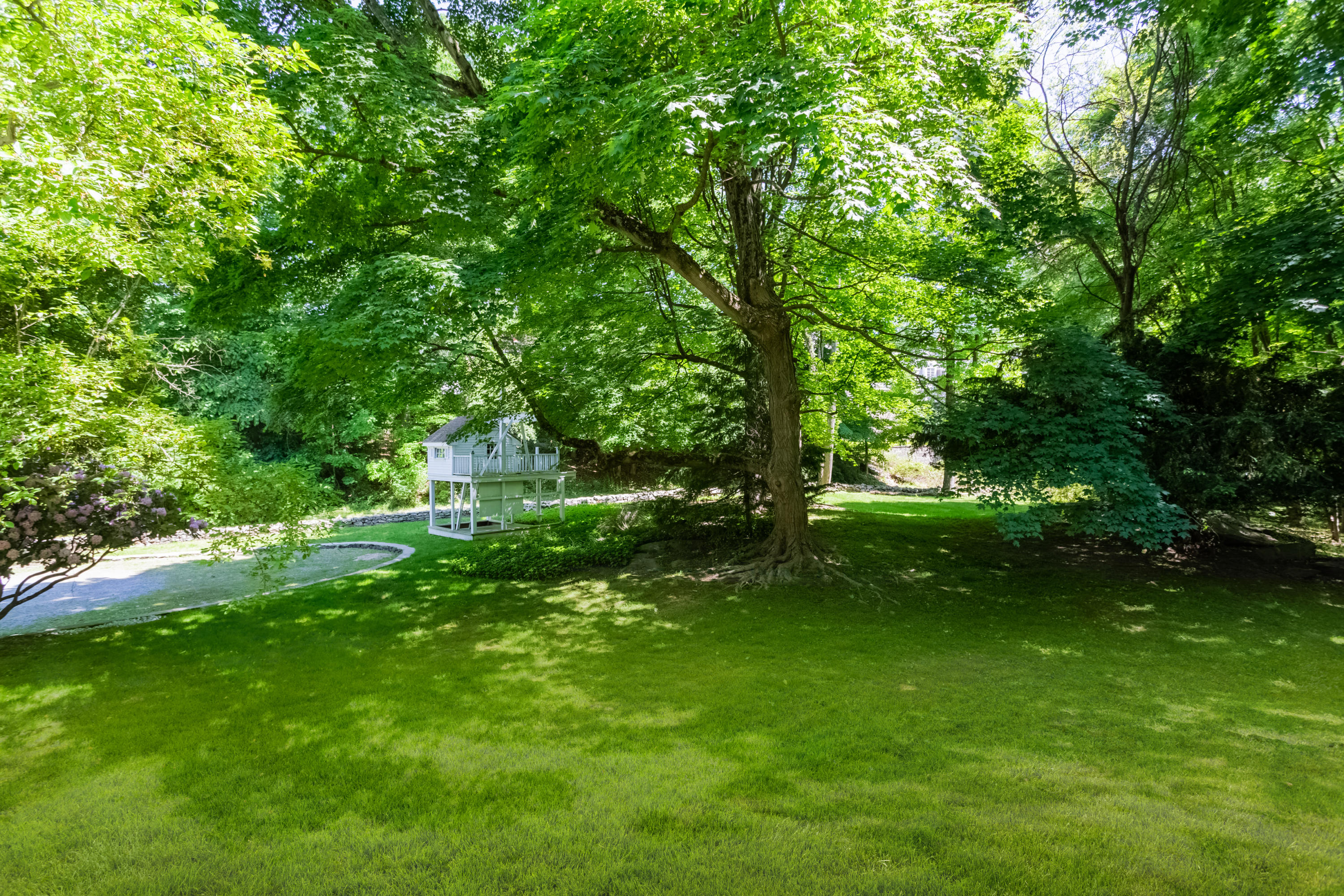 36 Locust Hill Road Darien, CT 06820 - Photo 35 of 40 a view of a garden with a tree