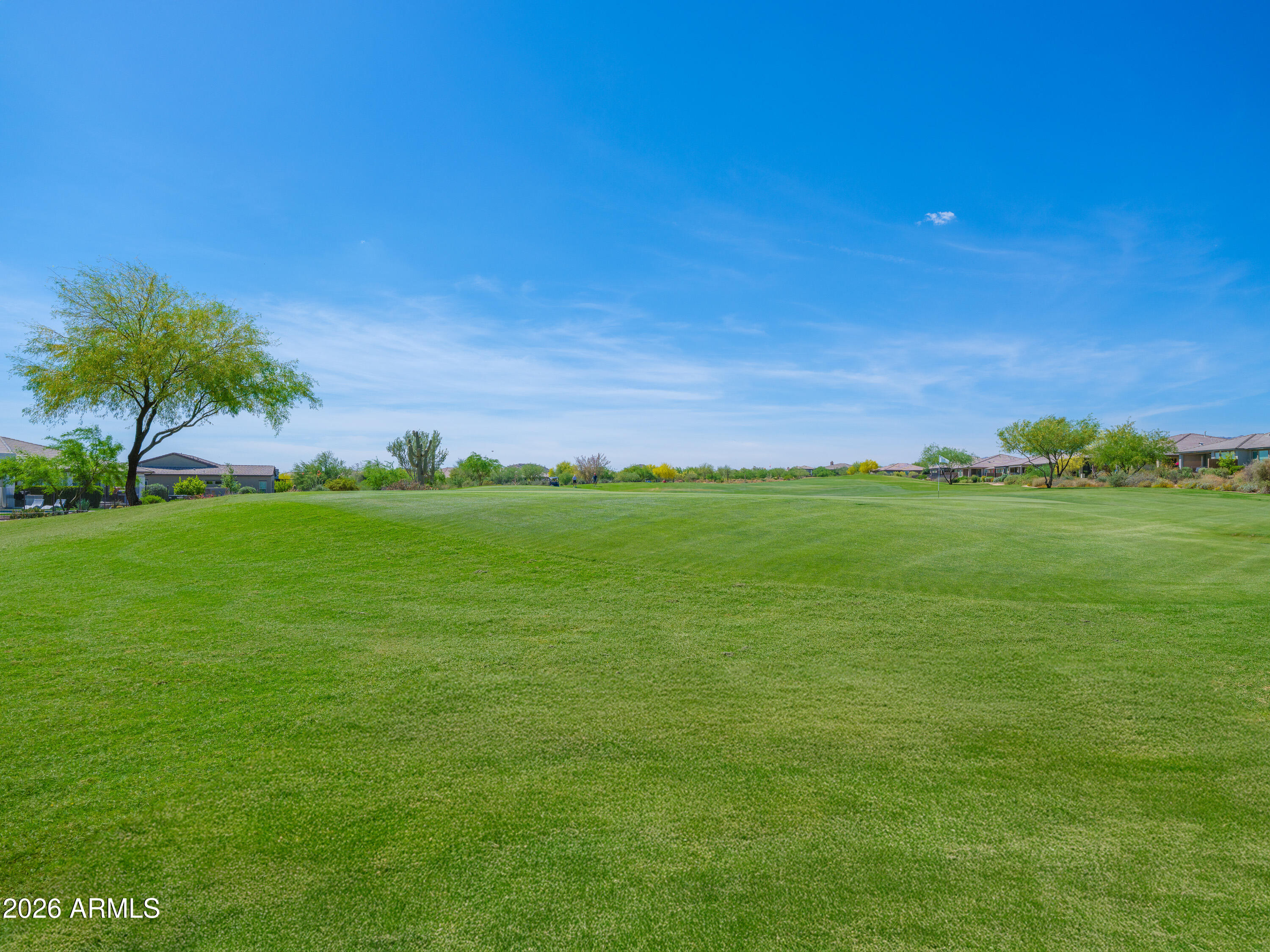 29420 North Verde River Way West Rio Verde, AZ 85263 - Photo 69 of 74 Grass you don’t have to water or mow!