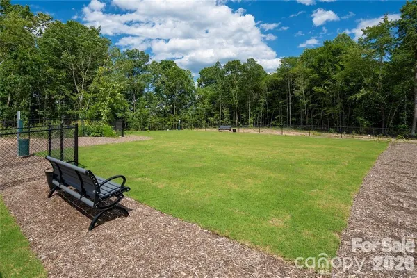 a park with a bench and trees