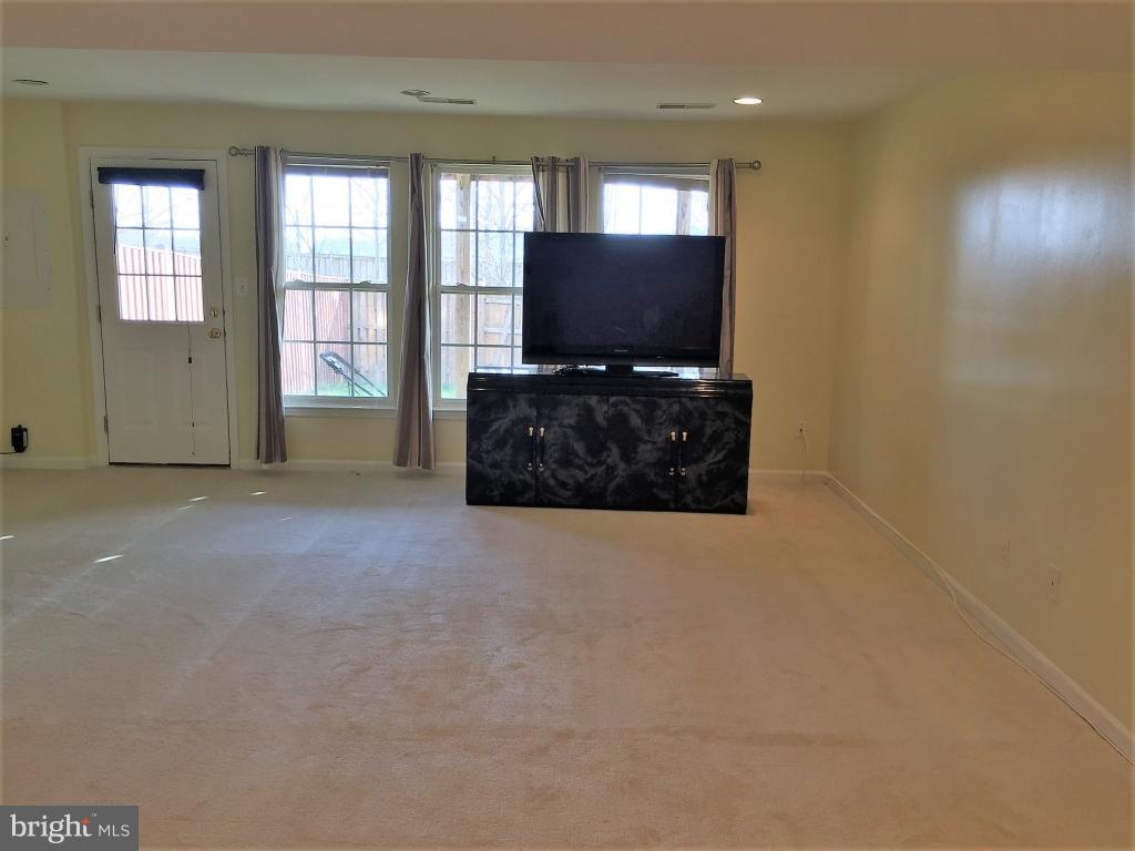 41881 Precious Square Aldie, VA 20105 - Photo 23 of 30 Basement