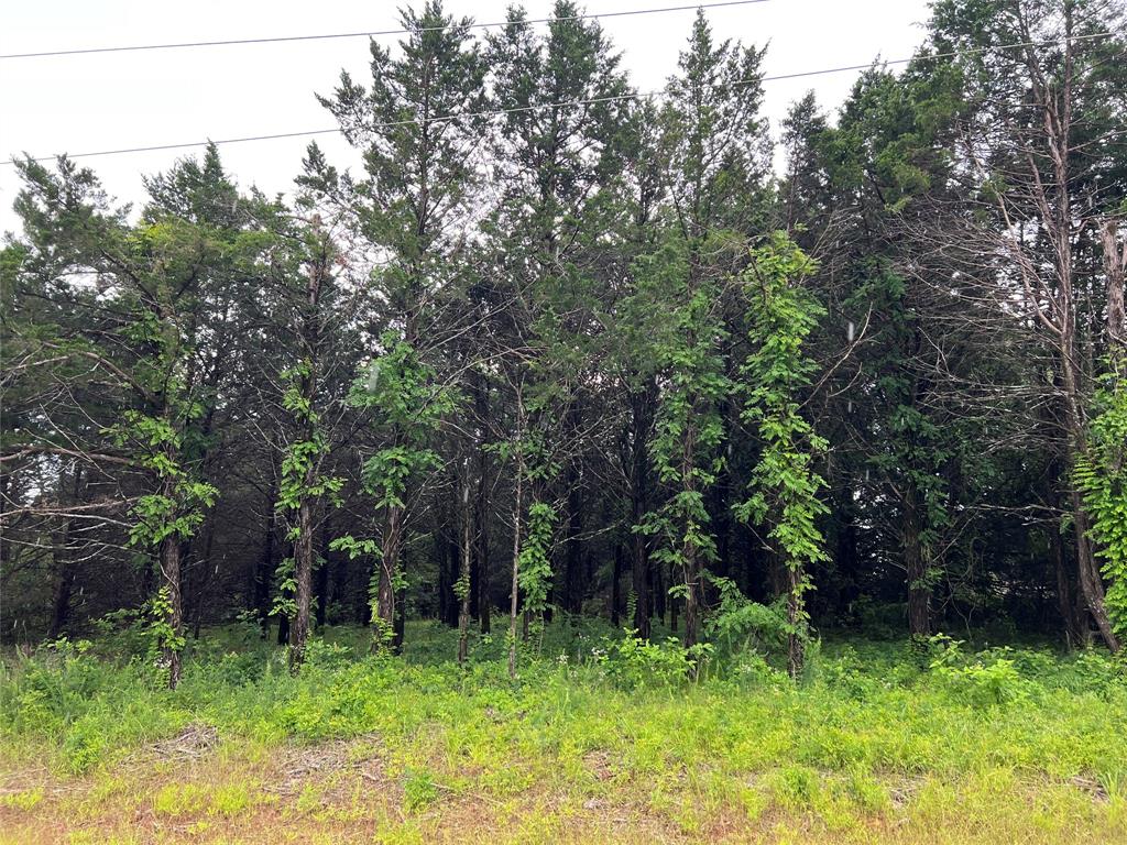 207 Pine Gordonville Tx 76245 Gordonville, TX 76245 - Photo 1 of 13 a green field with lots of trees