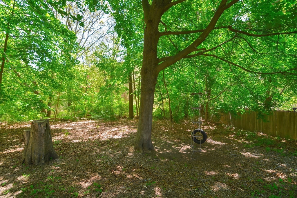 57 Cove Street Riverside, RI 02915 - Photo 36 of 42 a backyard of a house with lots of green space