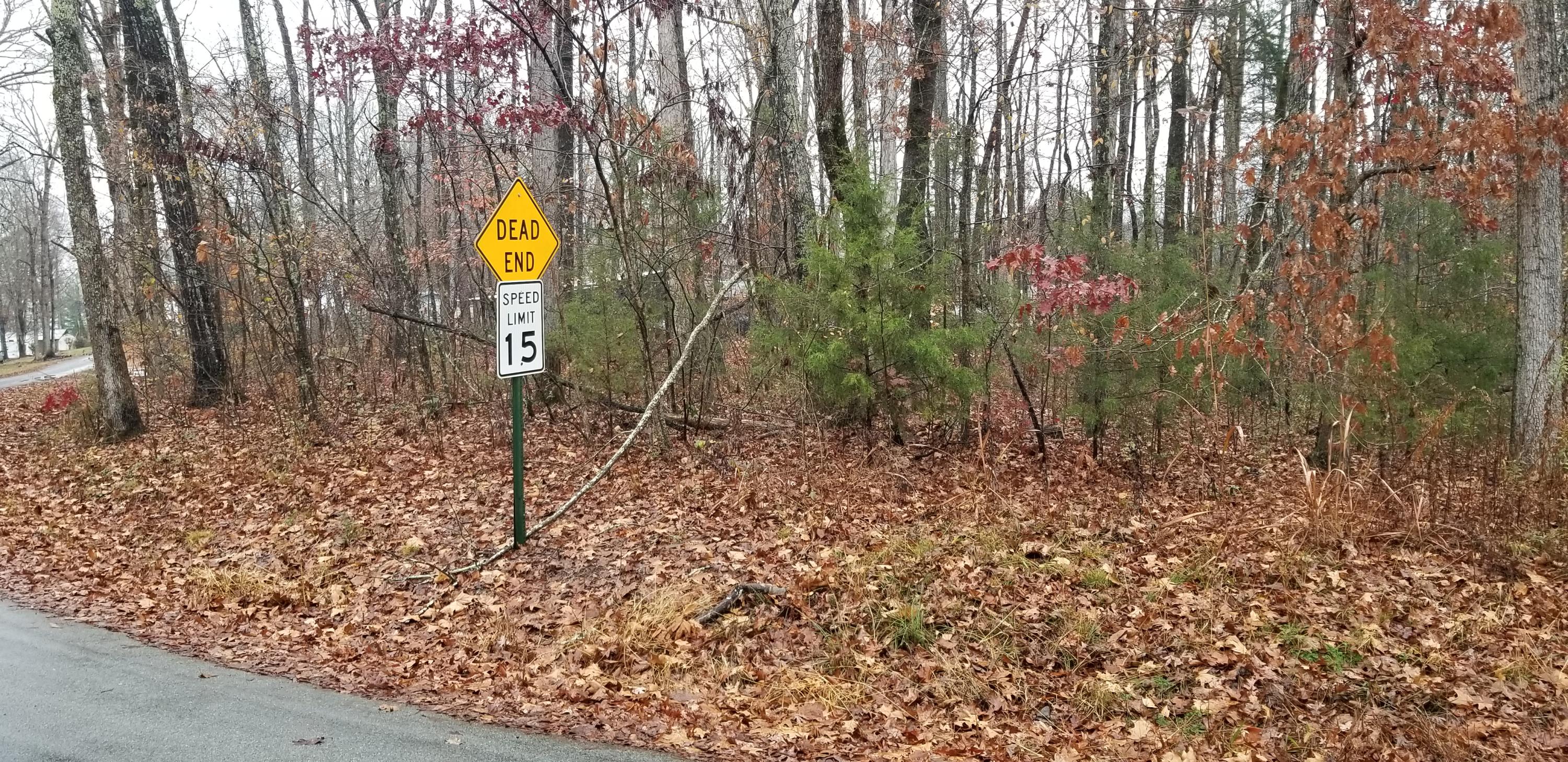 Coleman Road Decatur, TN 37322 - Photo 11 of 14 20201204_141600