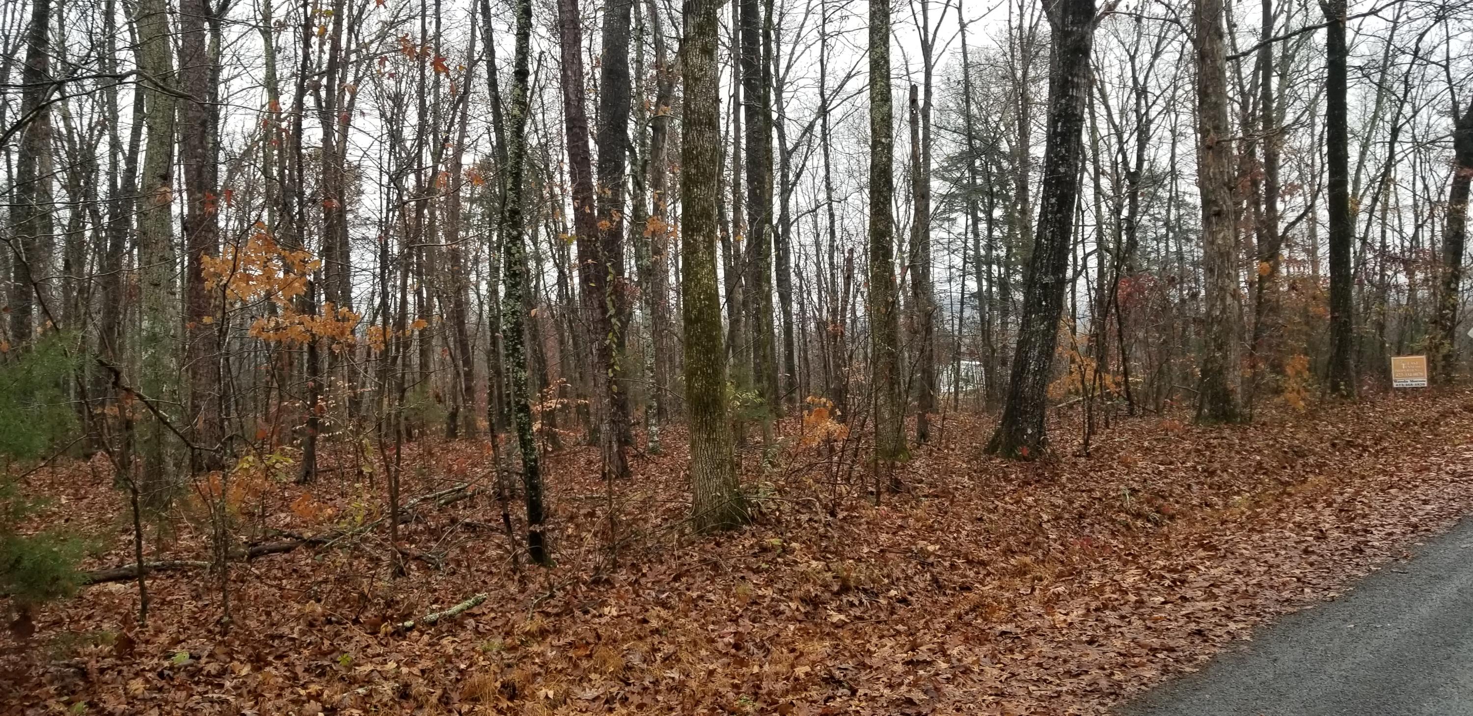Coleman Road Decatur, TN 37322 - Photo 4 of 14 20201204_141415