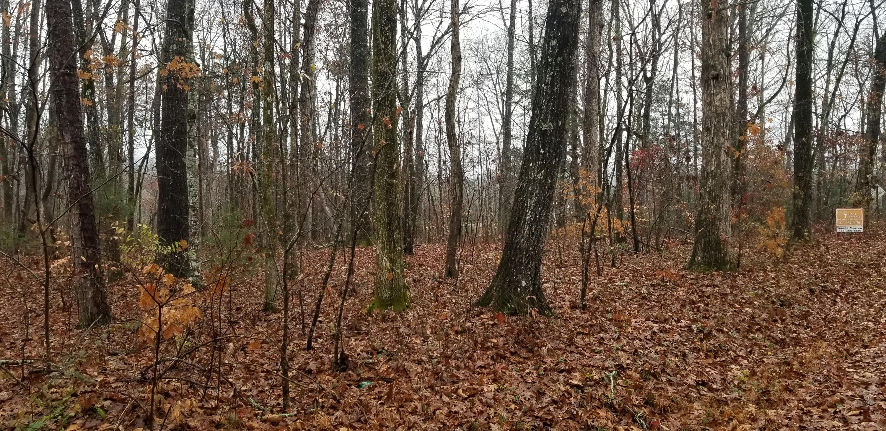 Coleman Road Decatur, TN 37322 - Photo 6 of 14 20201204_141429