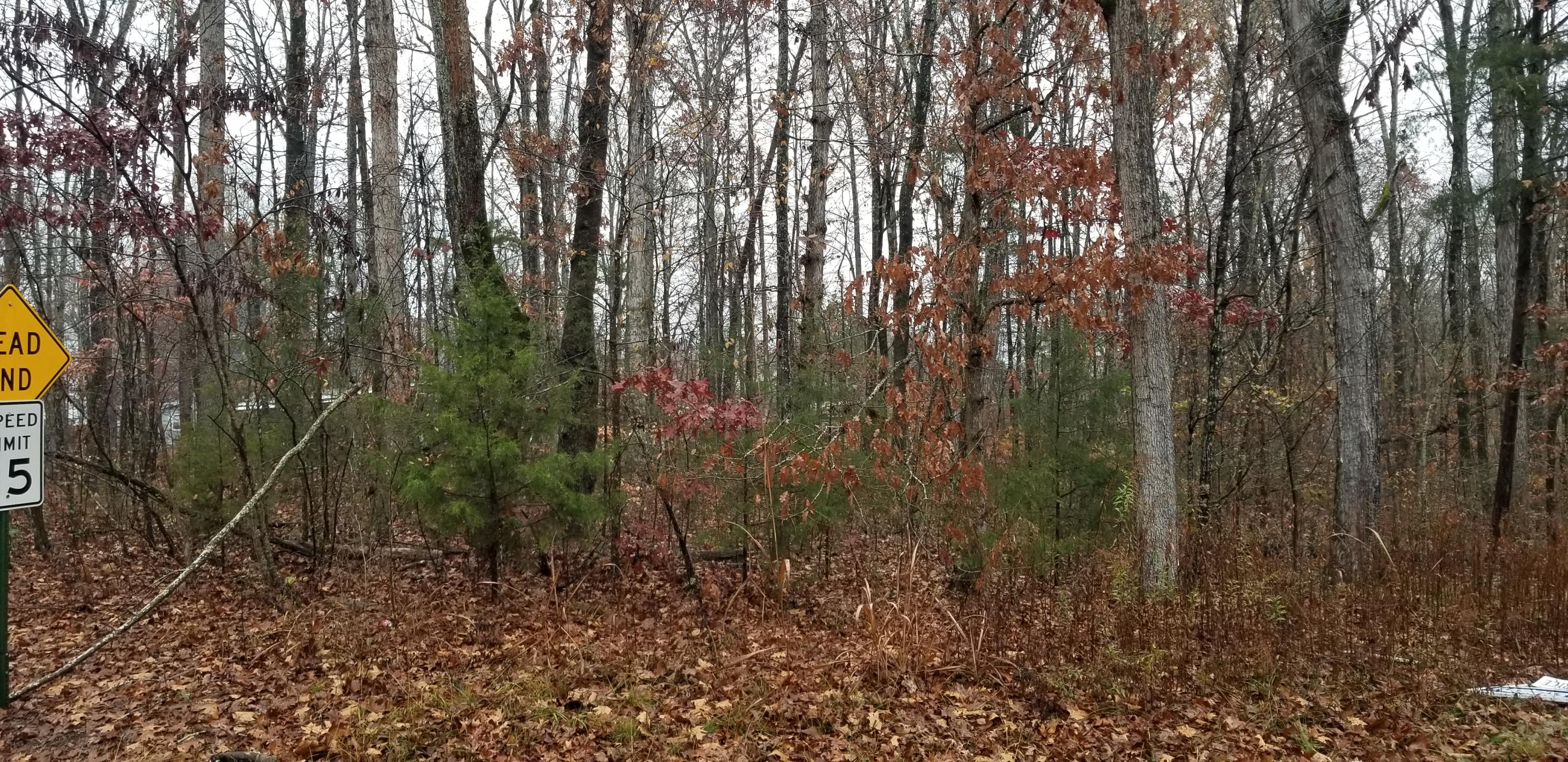 Coleman Road Decatur, TN 37322 - Photo 9 of 14 20201204_141535
