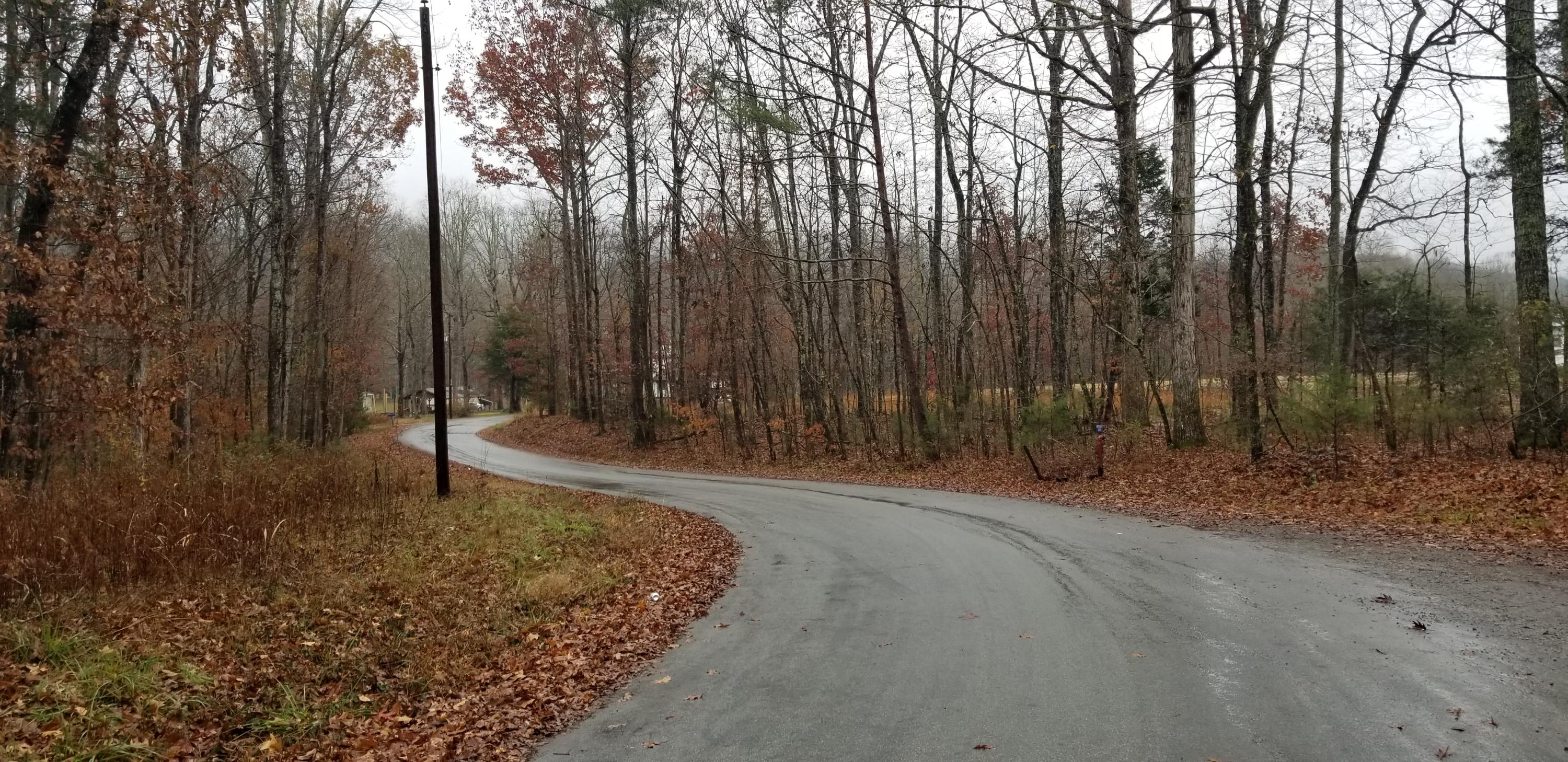 Coleman Road Decatur, TN 37322 - Photo 10 of 14 20201204_141539