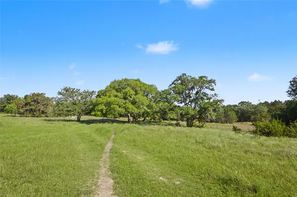 a view of a grassy field with trees in the background