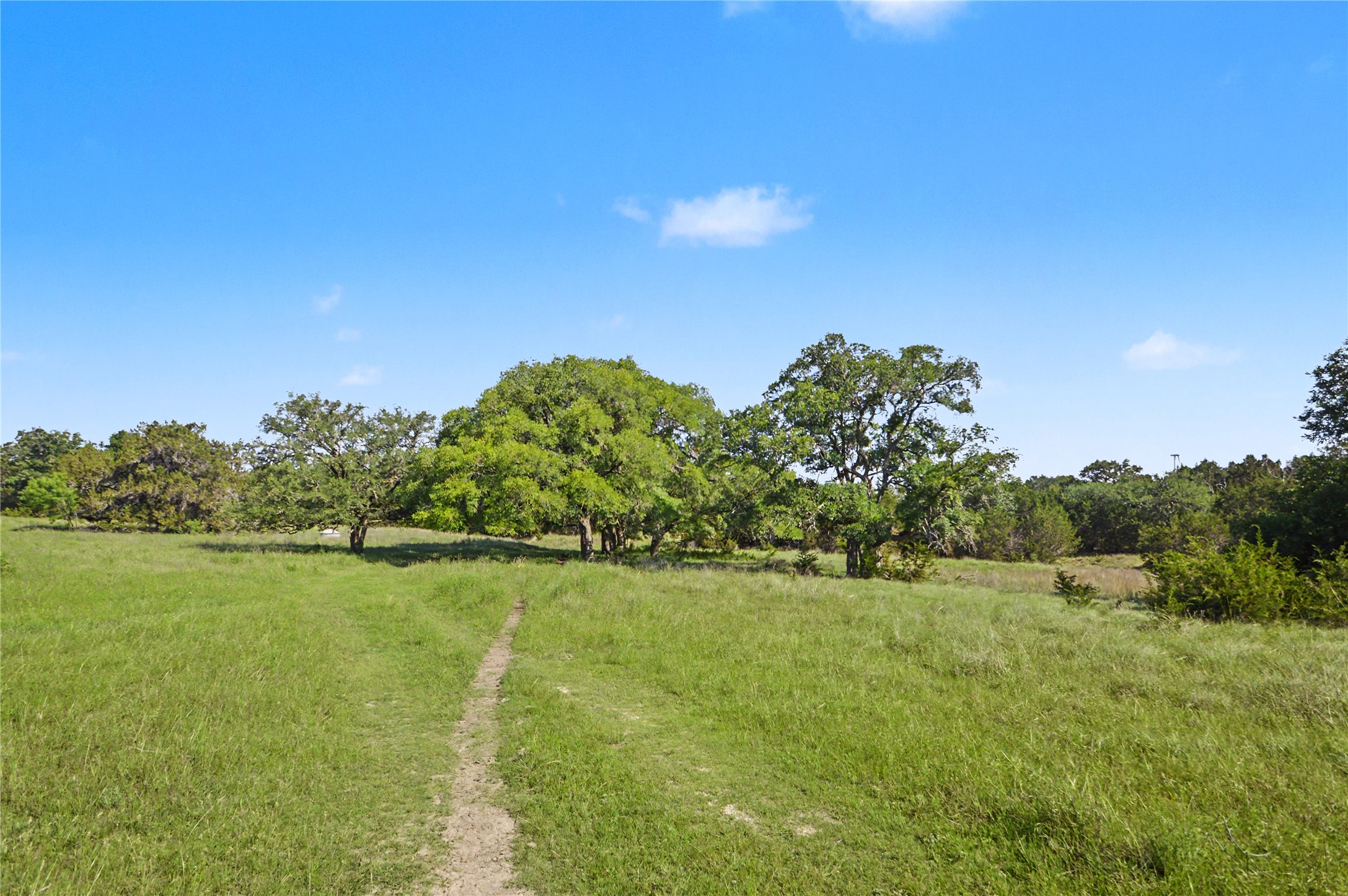 0 Cr 318 Road Goldthwaite, TX 76844 - Photo 1 of 37 a view of a grassy field with trees in the background