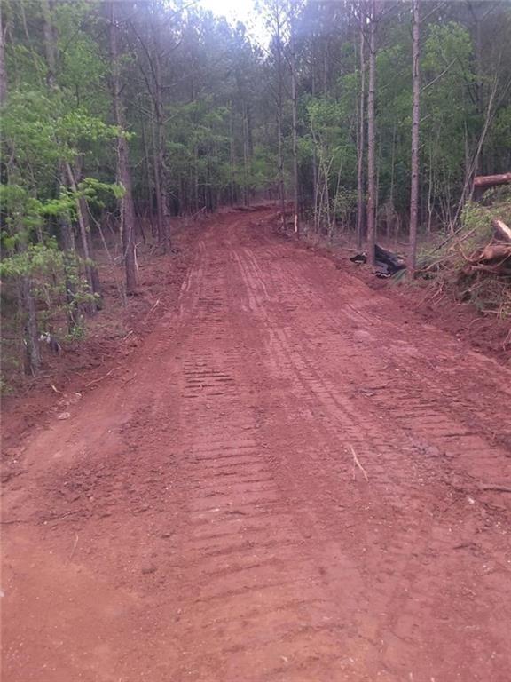 700 Gadsden Road Southwest Cave Spring, GA 30124 - Photo 3 of 10 a view of a forest with trees in the background