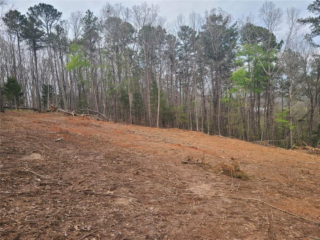 700 Gadsden Road Southwest Cave Spring, GA 30124 - Photo 5 of 10 a backyard of a house with large trees