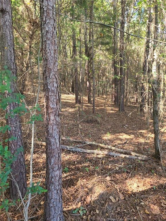 700 Gadsden Road Southwest Cave Spring, GA 30124 - Photo 7 of 10 a backyard of a house with lots of green space