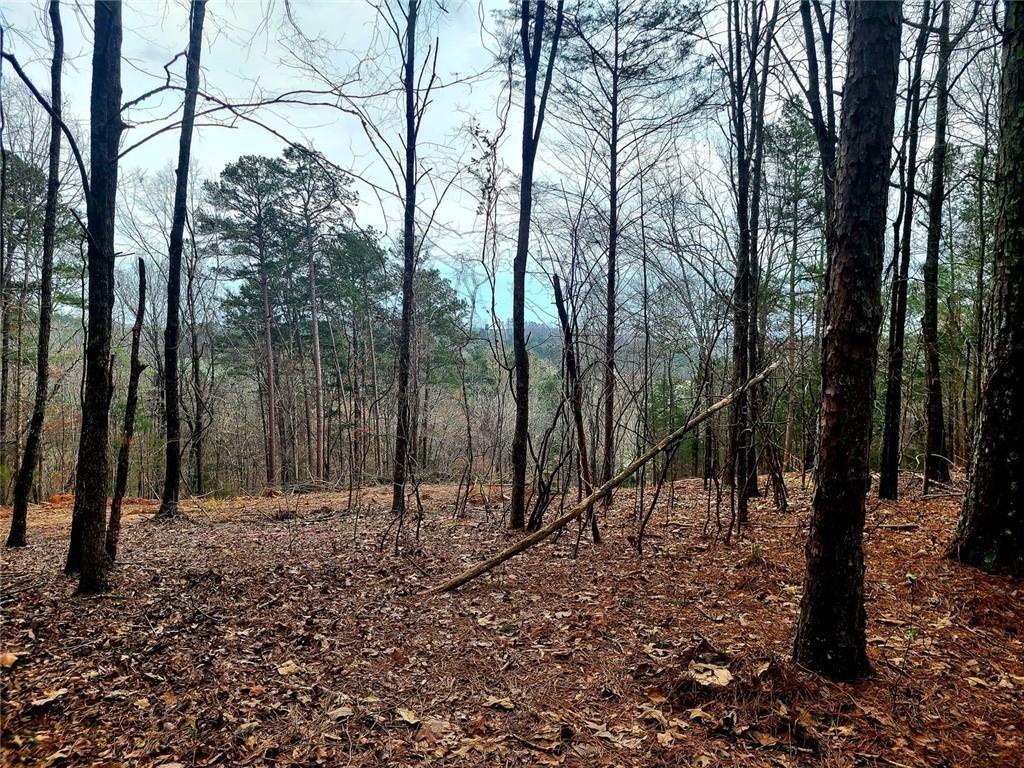 700 Gadsden Road Southwest Cave Spring, GA 30124 - Photo 8 of 10 a view of outdoor space with lots of trees