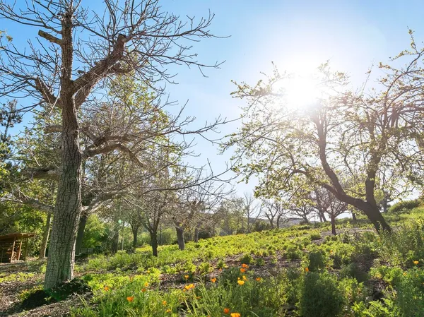 $1,500,000 | 3226 Jalama Road, Lompoc, CA 93436