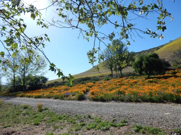 $1,500,000 | 3226 Jalama Road, Lompoc, CA 93436