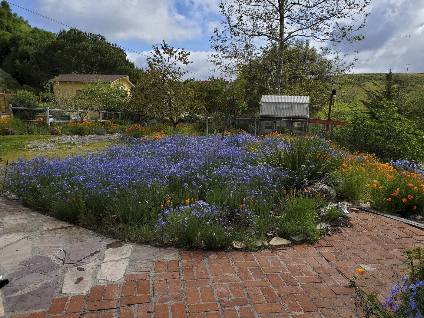 3226 Jalama Road Lompoc, CA 93436 - Photo 39 of 49 37 MLS - 3226 Jalama