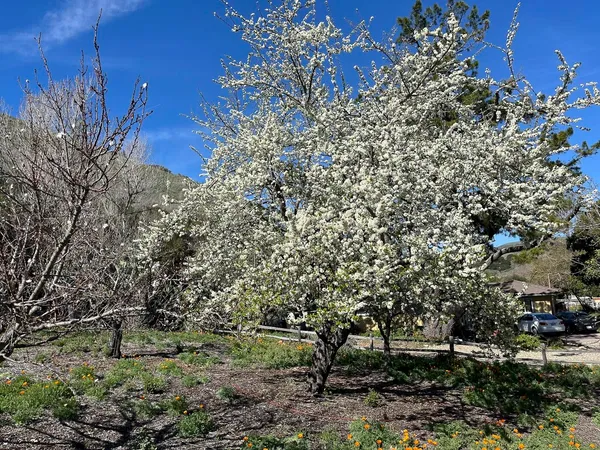 $1,500,000 | 3226 Jalama Road, Lompoc, CA 93436