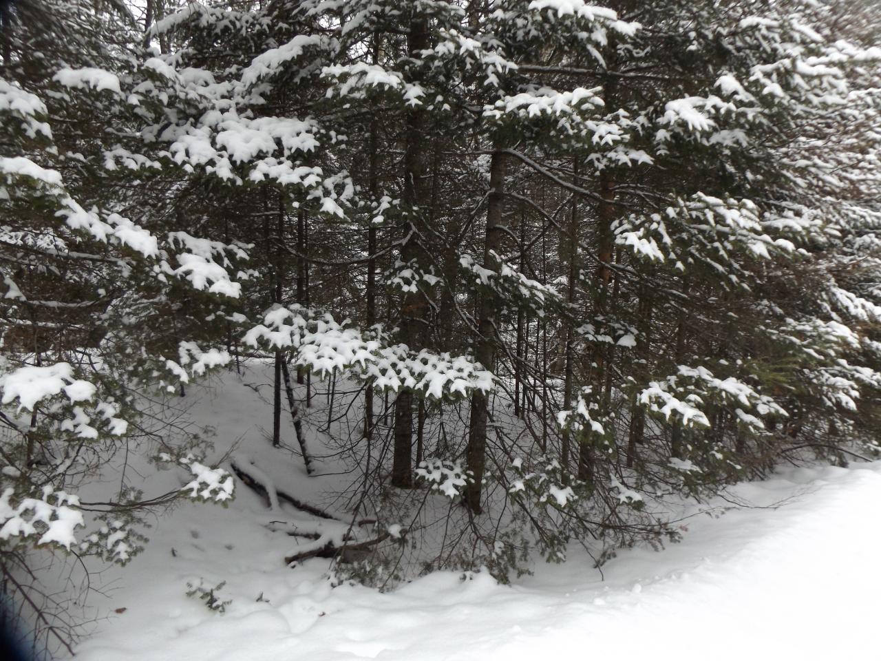 On Moon Road, Unit LOT #14 St. Germain, WI 54558 - Photo 2 of 11 Gallery Image 2