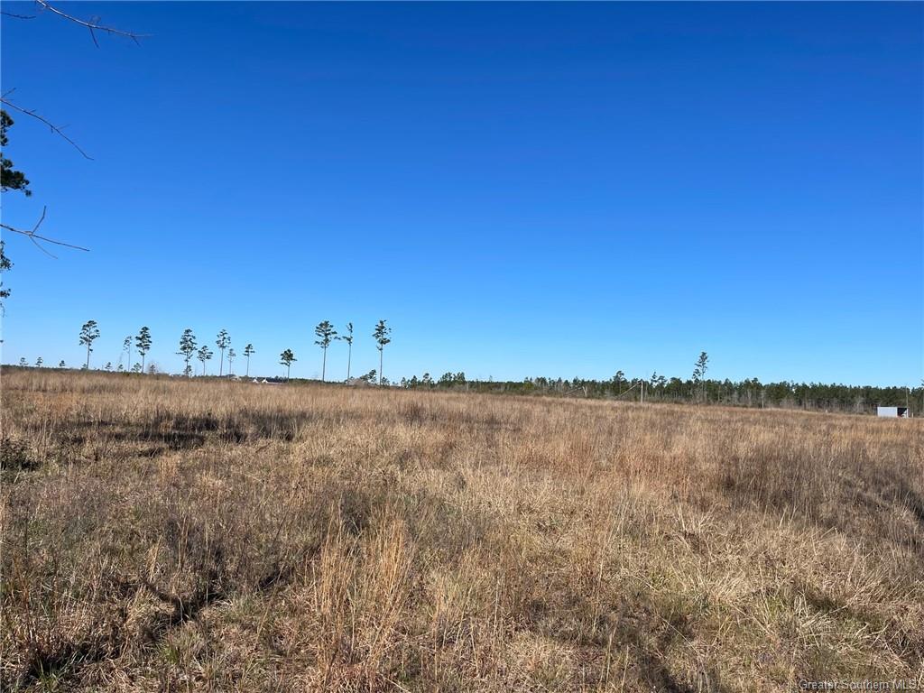 Camp Edgewood Road Dequincy, LA 70633 - Photo 3 of 5