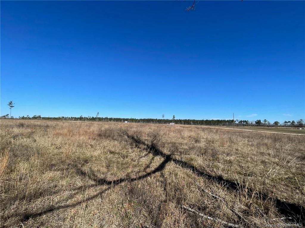 Camp Edgewood Road Dequincy, LA 70633 - Photo 4 of 5