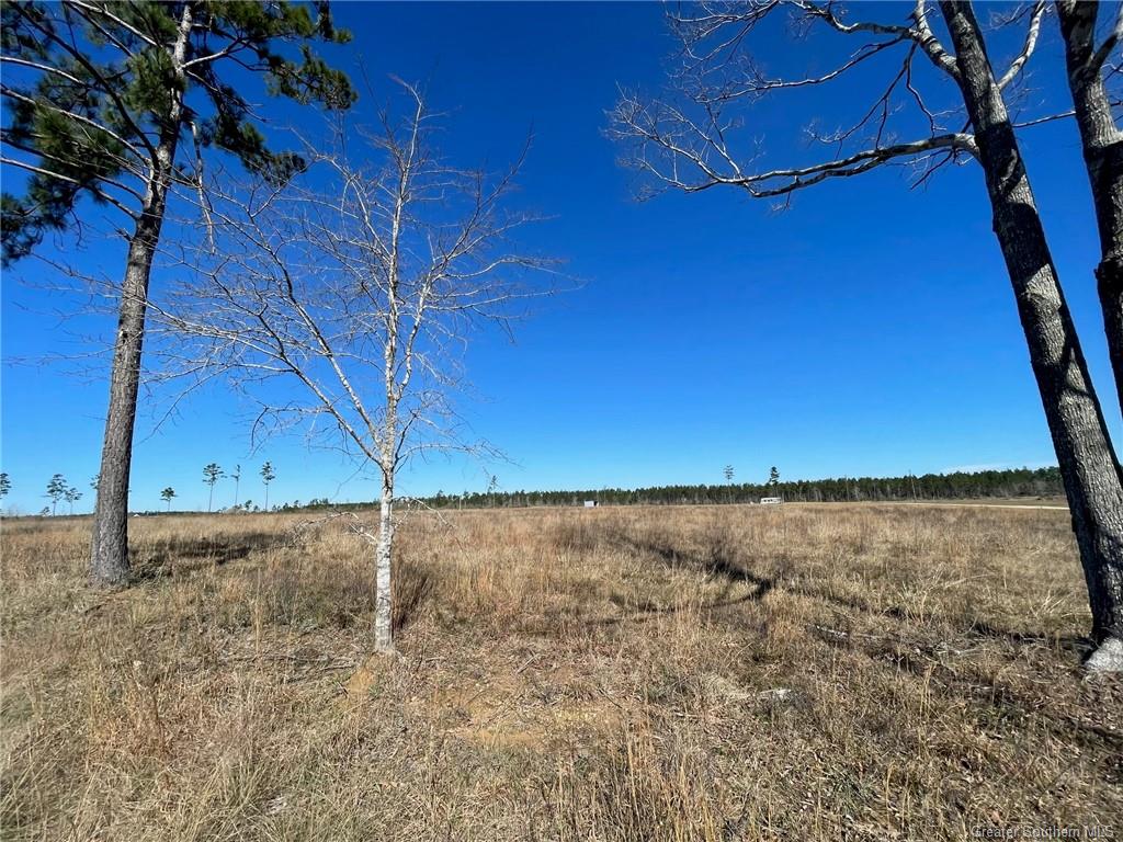 Camp Edgewood Road Dequincy, LA 70633 - Photo 5 of 5
