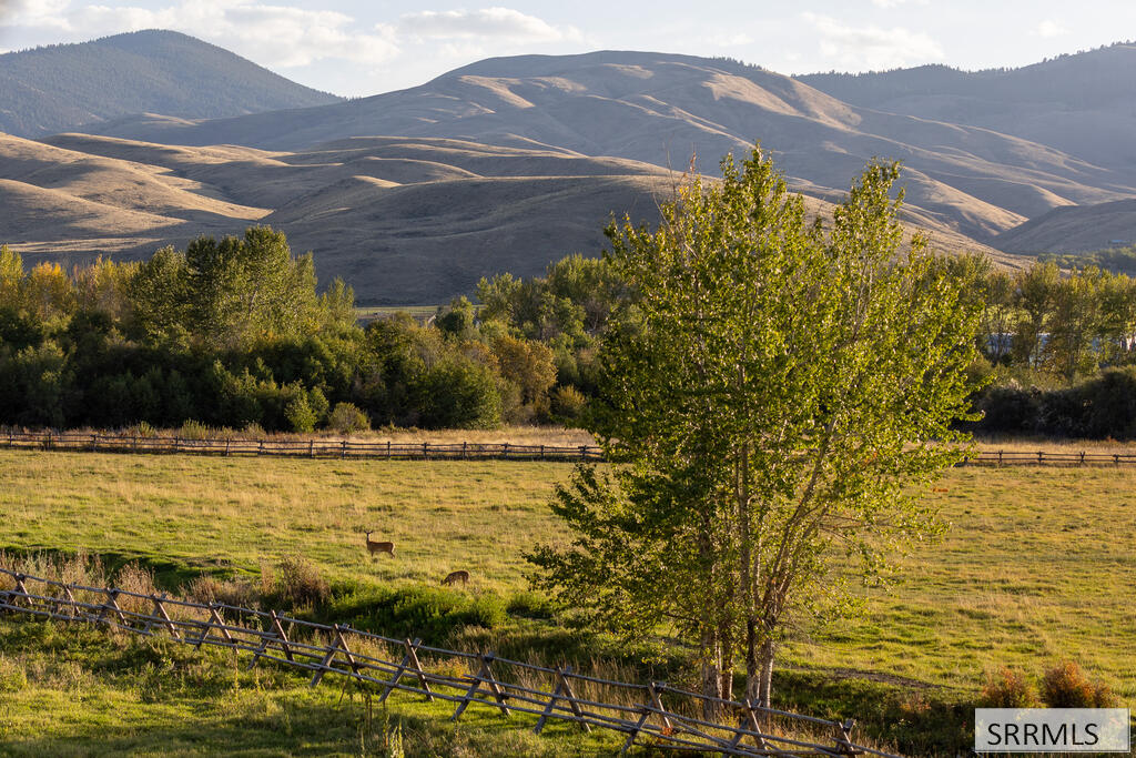 1705 Lemhi Road Salmon, ID 83467 - Photo 87 of 149 Gallery Image 87