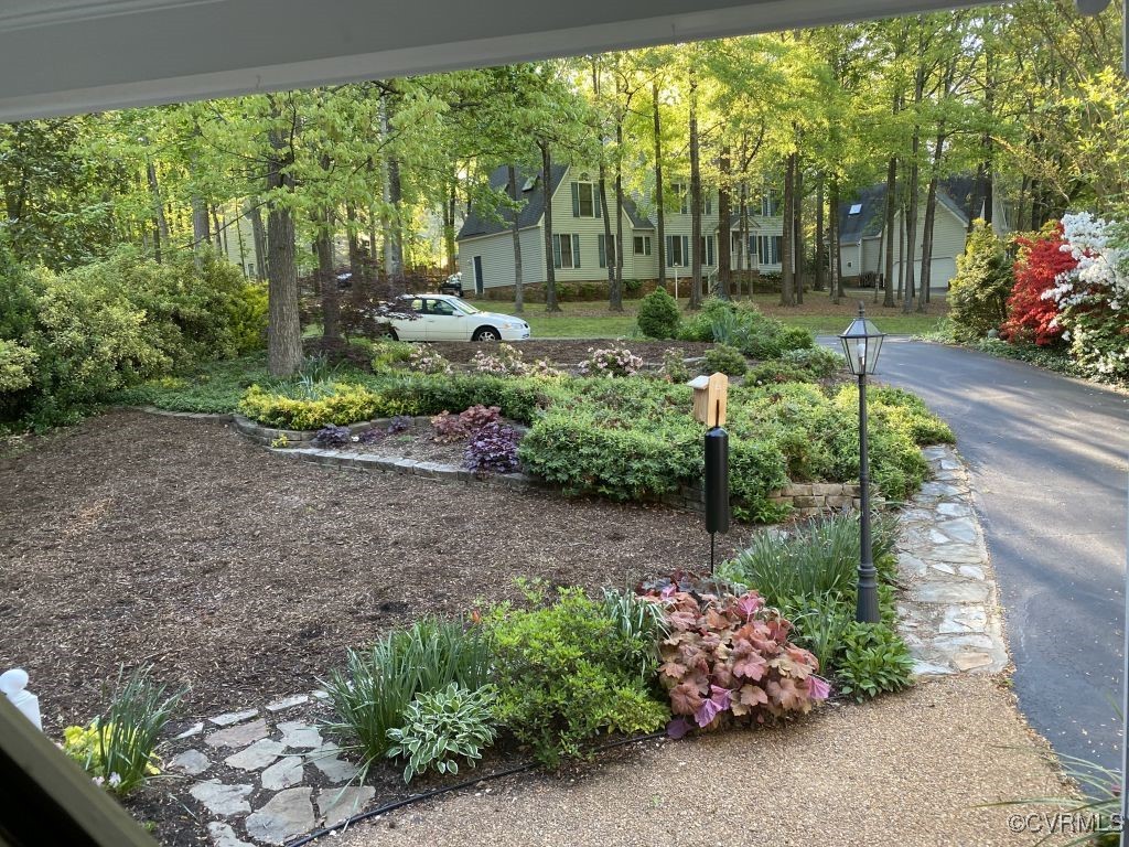 14326 Huntgate Woods Road Midlothian, VA 23112 - Photo 3 of 25 View of yard