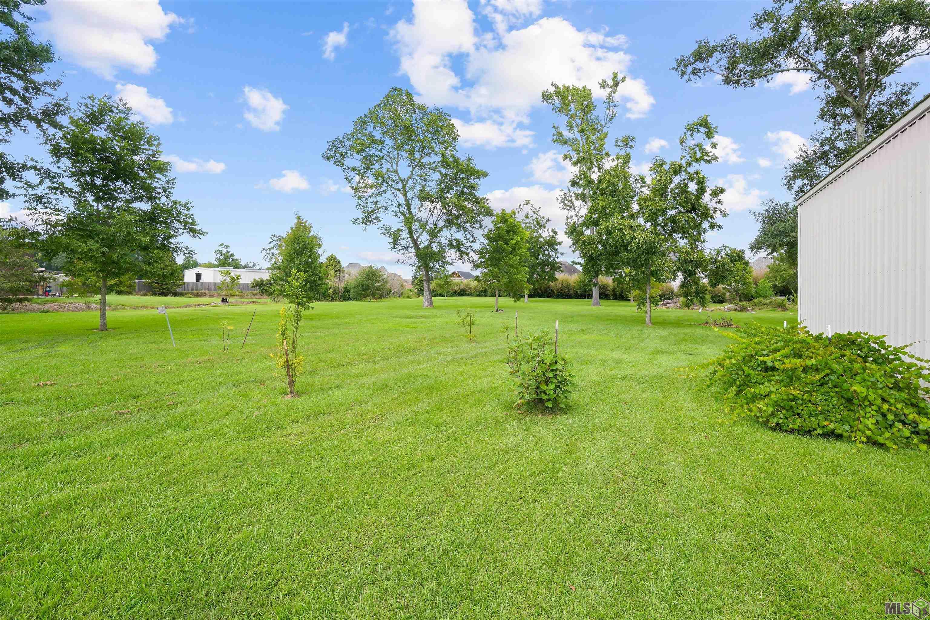 40400 Abby James Road Prairieville, LA 70769 - Photo 31 of 40