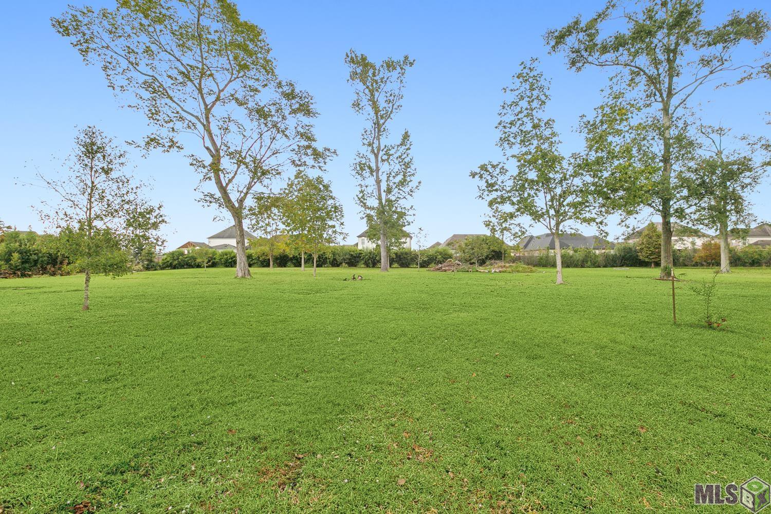 40400 Abby James Road Prairieville, LA 70769 - Photo 33 of 40