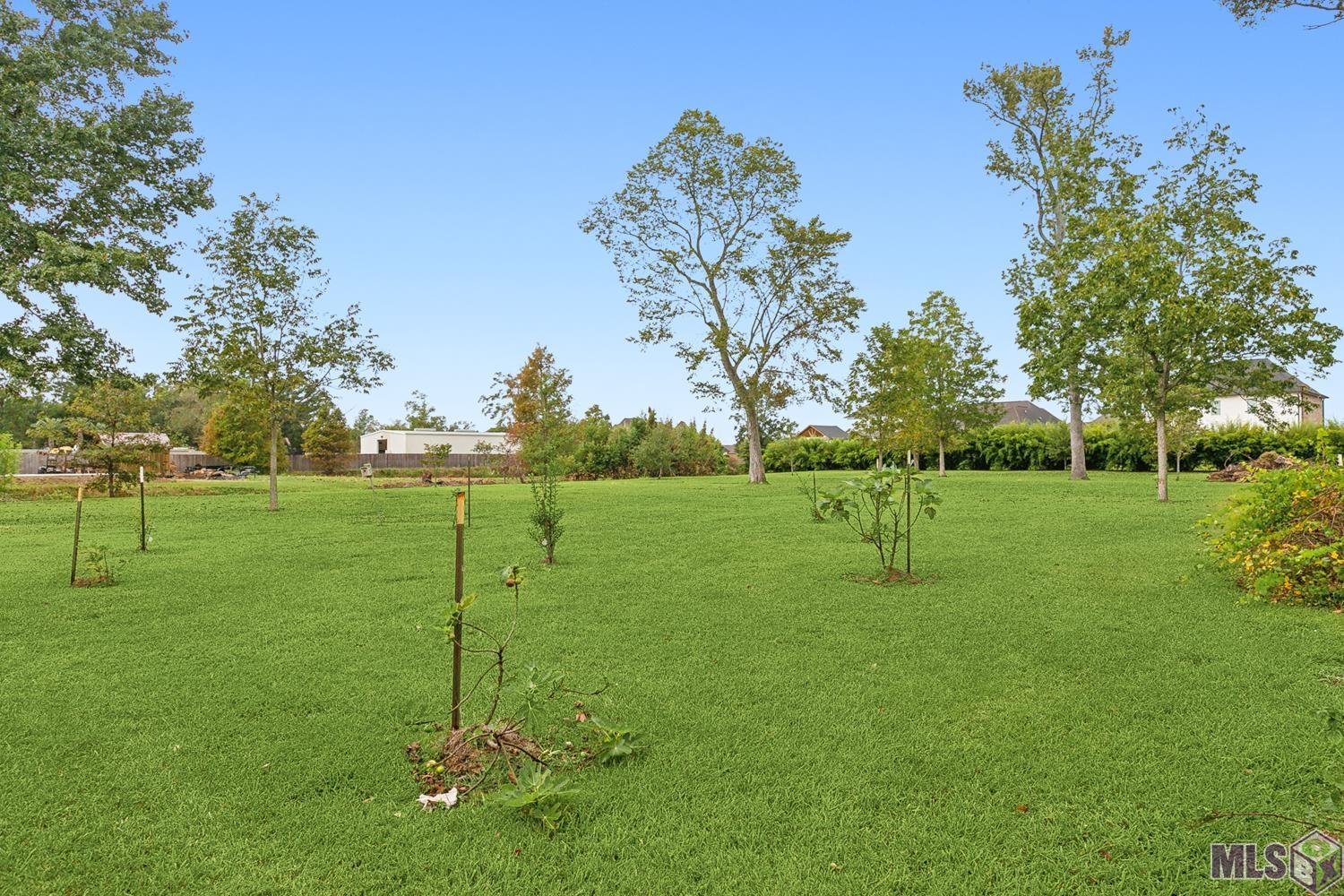 40400 Abby James Road Prairieville, LA 70769 - Photo 34 of 40