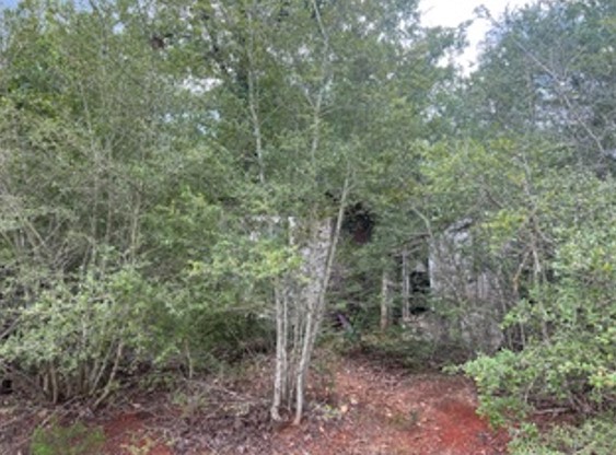 Tbd Ridge Road Paige, TX 78659 - Photo 1 of 1 A secluded wooded lot offers natural privacy and a peaceful environment.