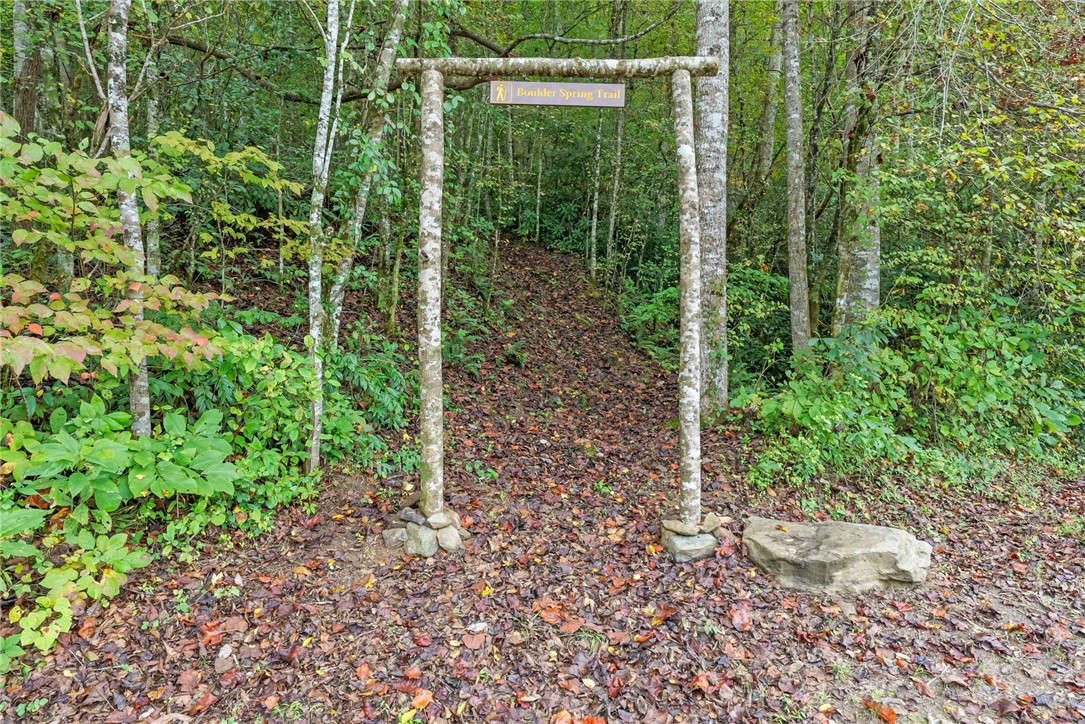 263 Brasstown Road Westminster, SC 29693 - Photo 37 of 50