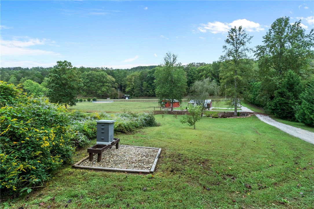 263 Brasstown Road Westminster, SC 29693 - Photo 38 of 50